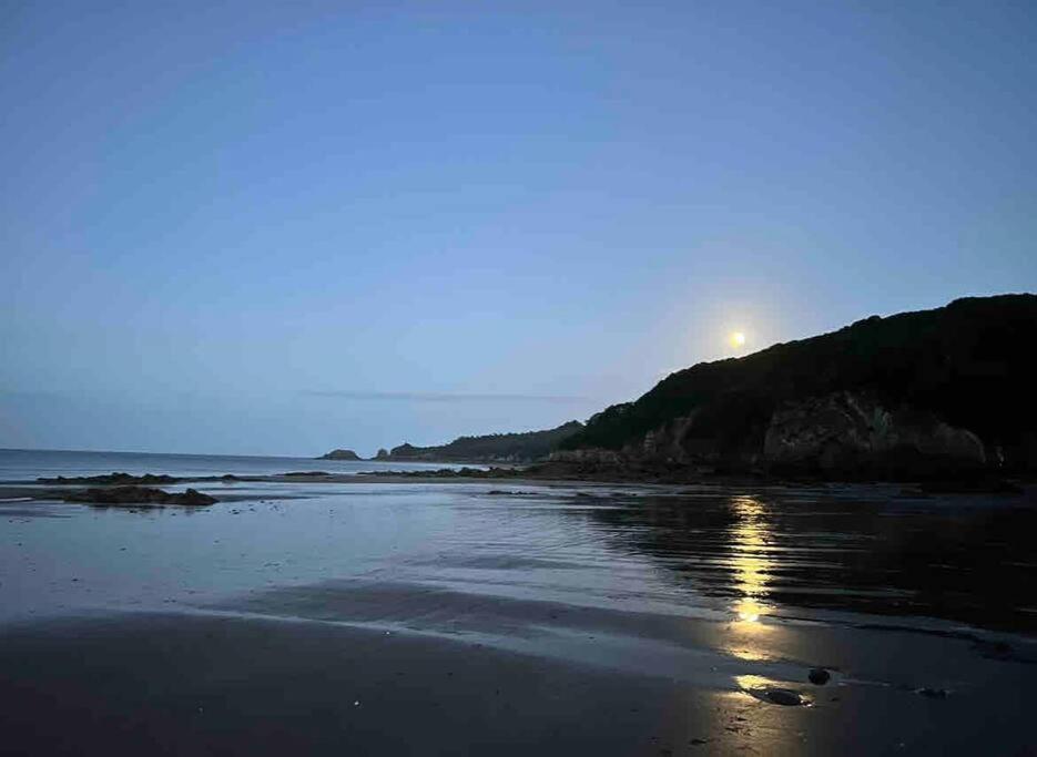 Rhodewood House Saundersfoot Apartment ภายนอก รูปภาพ